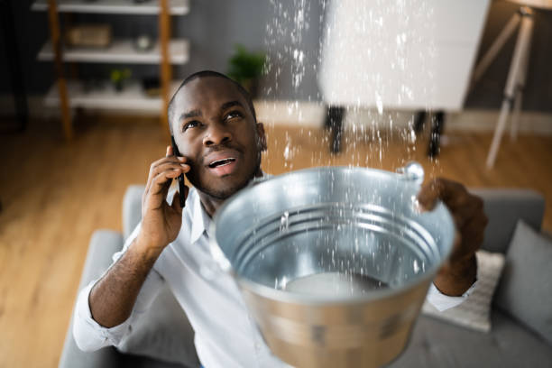 Best Flood restoration services  in Marcus Hook, PA