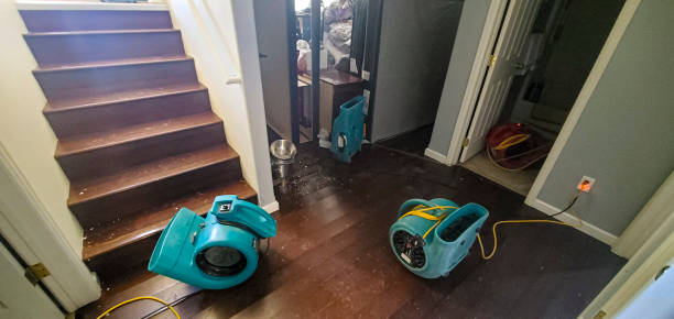 Best Local water damage restoration  in Marcus Hook, PA