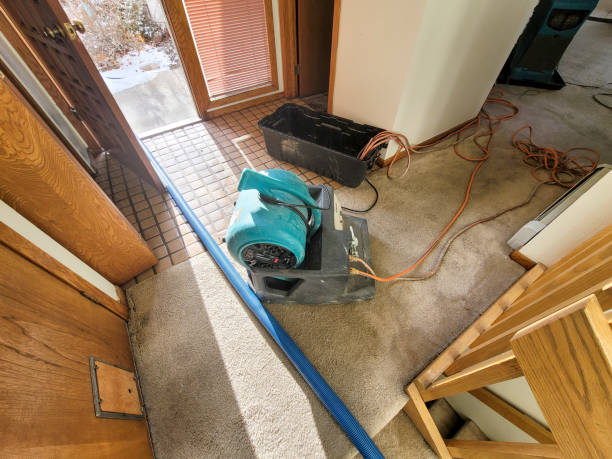 Best Flood damage cleanup  in Marcus Hook, PA