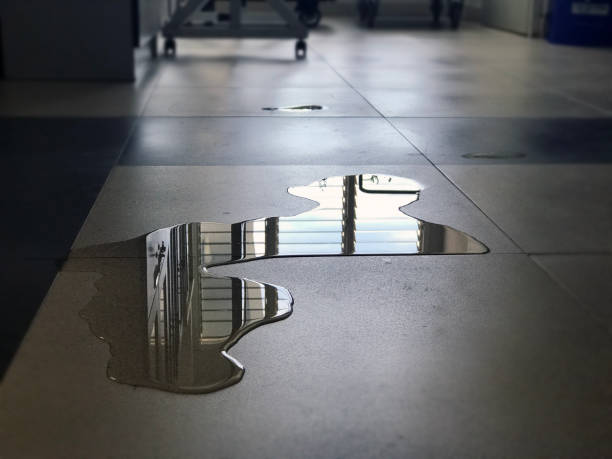 Best Water damage restoration near me  in Marcus Hook, PA
