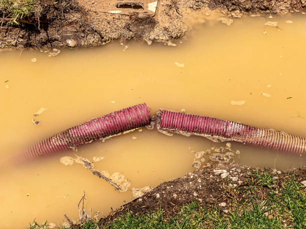 Best Basement water damage restoration  in Marcus Hook, PA