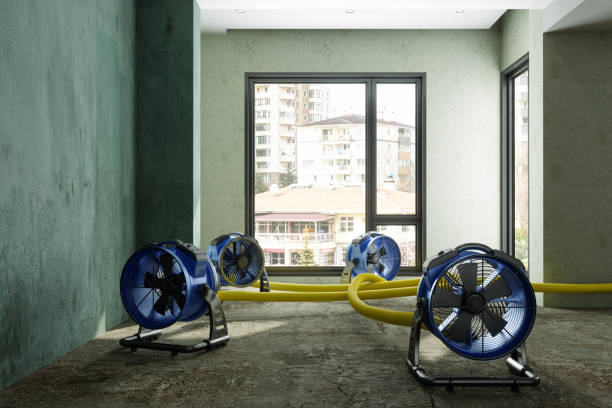 Best Water damage contractors near me  in Marcus Hook, PA