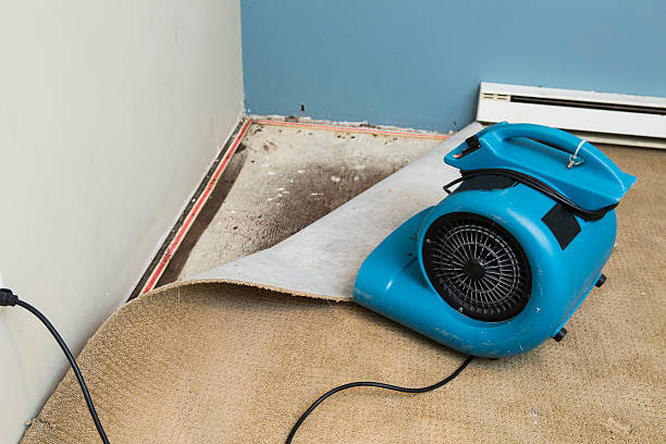 Best Water damage cleanup near me  in Marcus Hook, PA