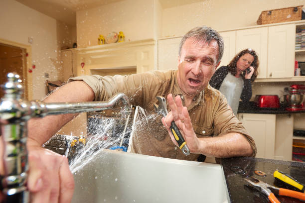 Best Flooded house restoration  in Marcus Hook, PA